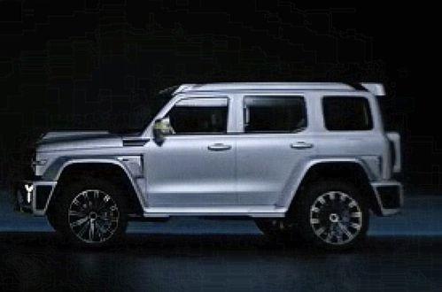 坦克600最新改装爆料,改装亮点抢先看