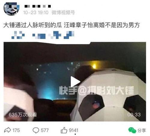 刘大锤今天爆料消息最新,揭秘娱乐圈最新惊天秘密！