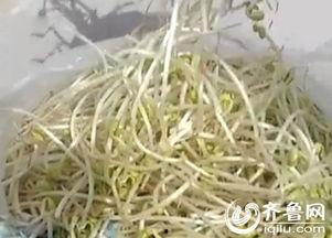 豆芽爆料视频大全最新,揭秘娱乐圈幕后真相